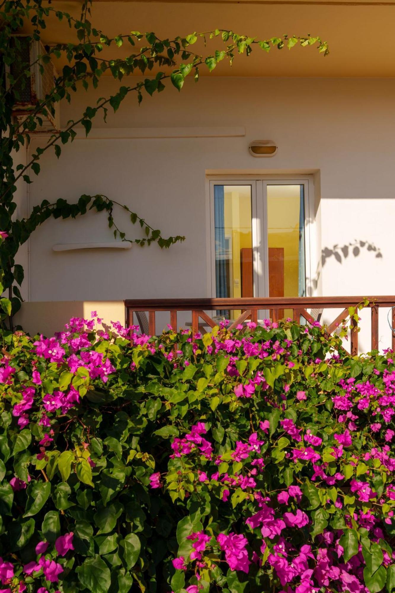 Dedalos Beach Hotel Sfáka Buitenkant foto